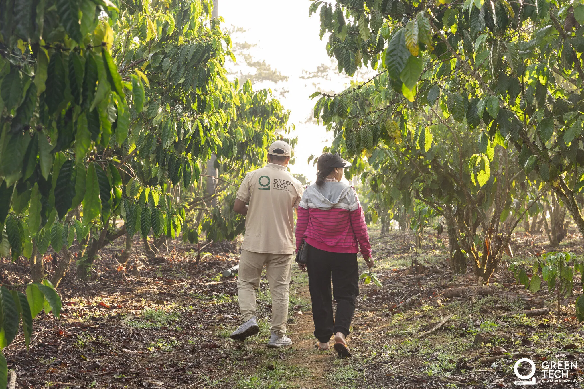 Coffee farm in Lam Dong