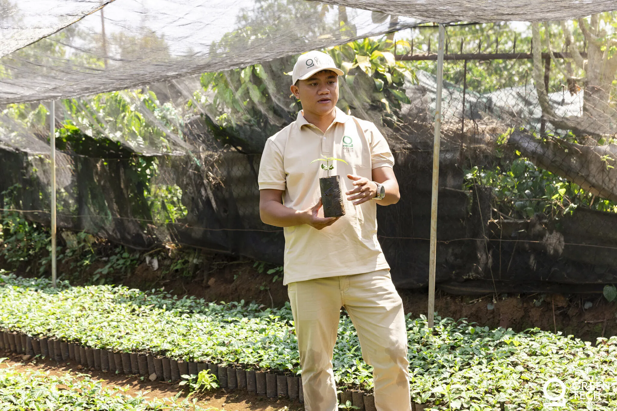 Nursery management