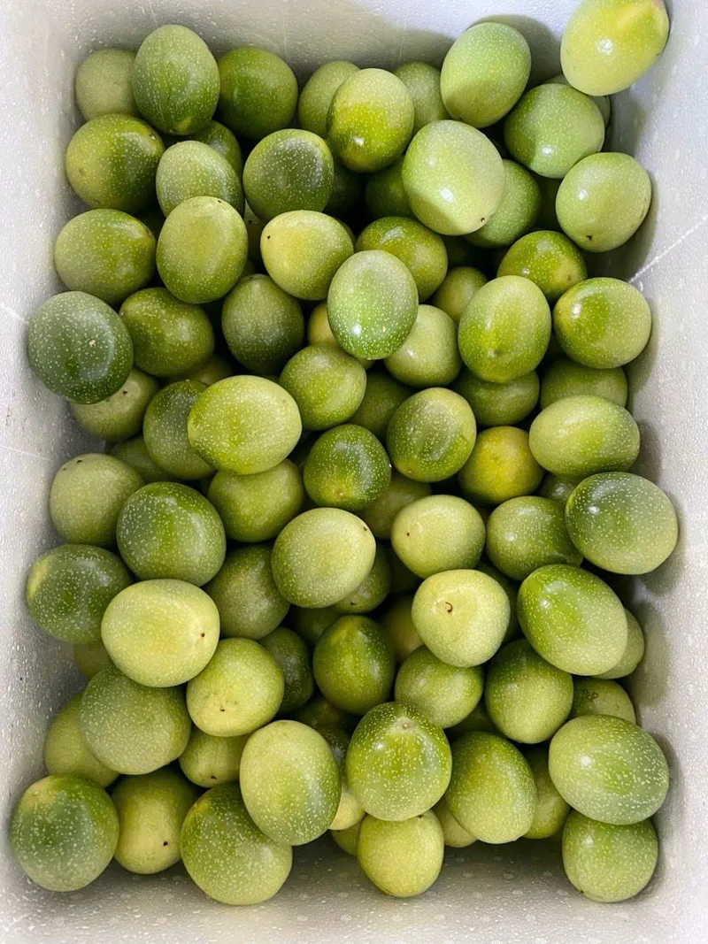 Passion Fruit