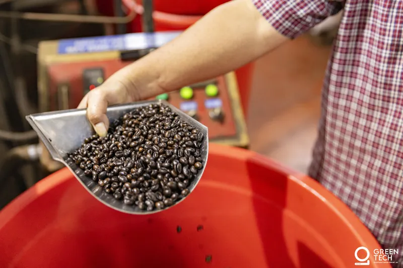 Green Coffee Beans Exporter from Vietnam — Premium Wholesale