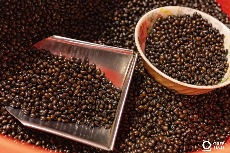 Green Coffee Beans Exporter from Vietnam — Premium Wholesale