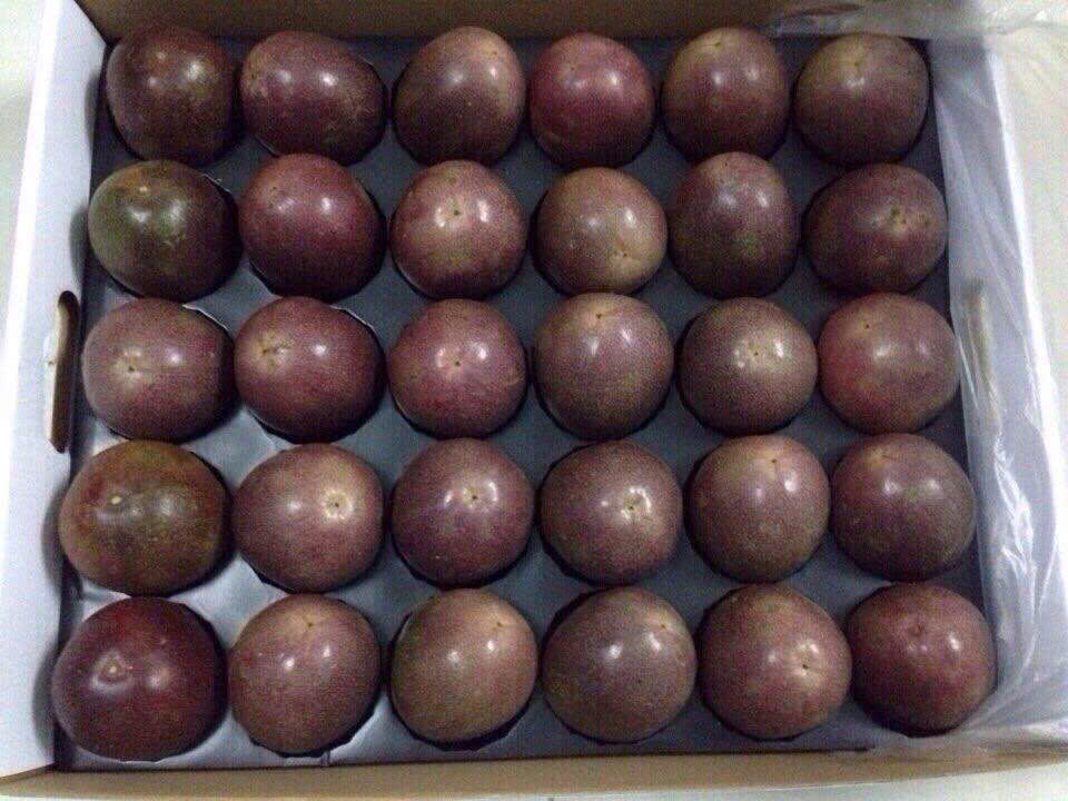 Vietnamese Passion Fruit Supplier — Fresh & Processed Bulk